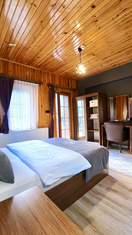 Classic room with balcony and with river view