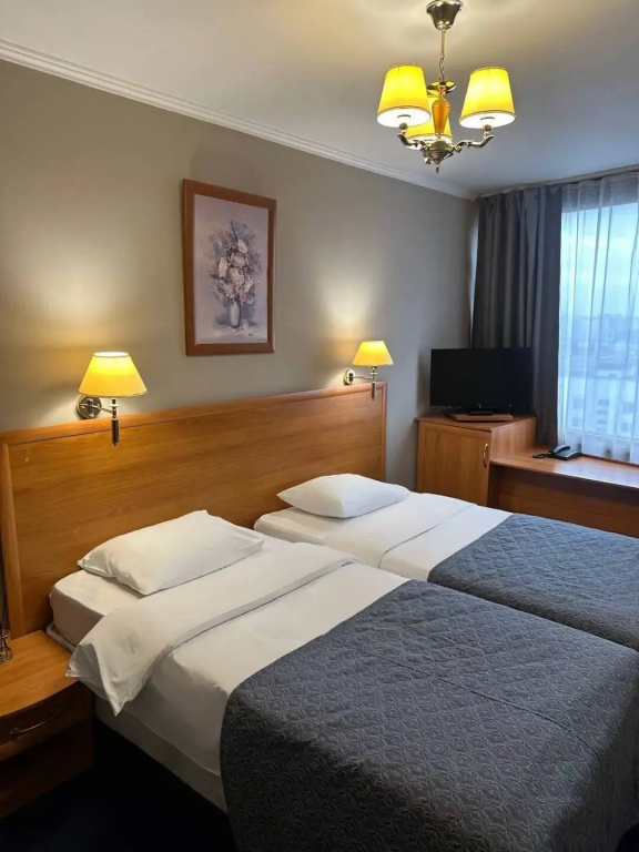 Standard Double room with street view (twin beds)