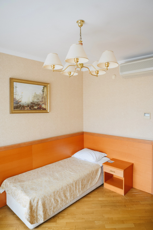 Standard Single room with balcony and with view