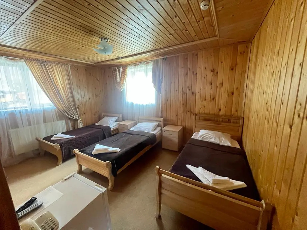 Standard Triple room with view