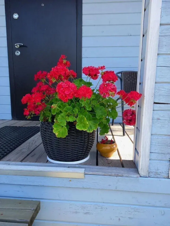 Частный дом на Леселидзе 60 (2) - фото 18