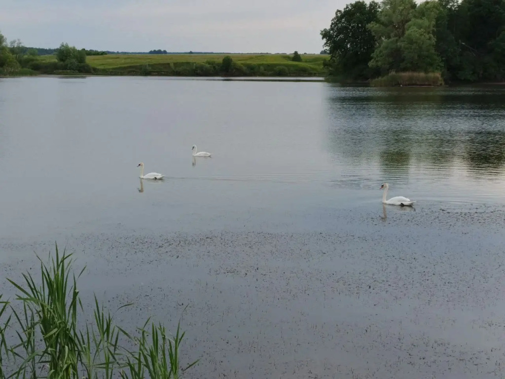 Частный дом Сосновка - фото 24