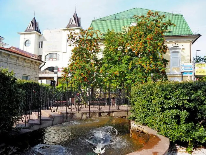 Квартира однокомнатная с кухней на Карла Маркса 150 — фото