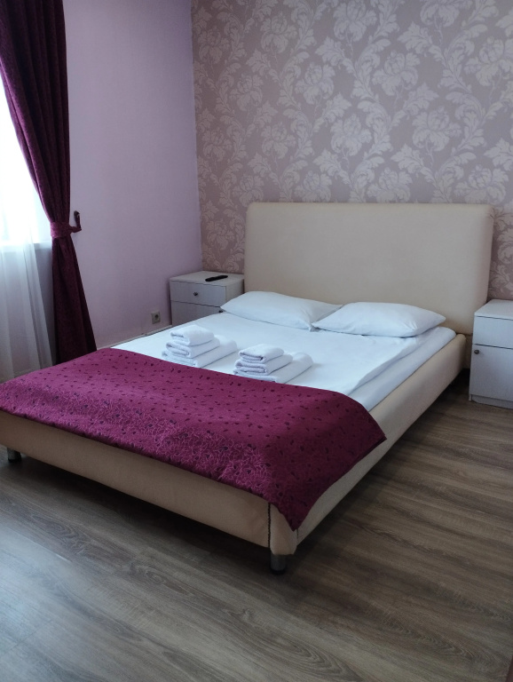 Standard Double room with city view (full double bed)