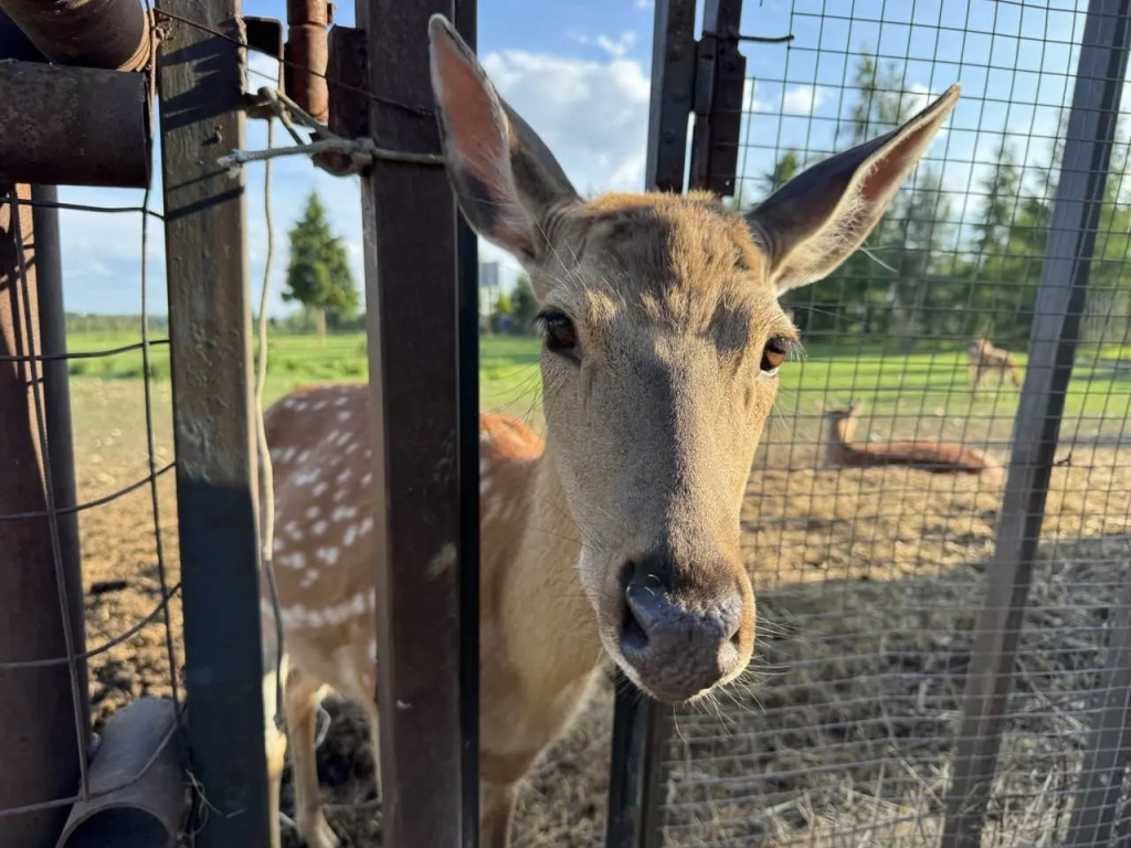 Апартаменты с 3 комнатами с балконом в Barns Village