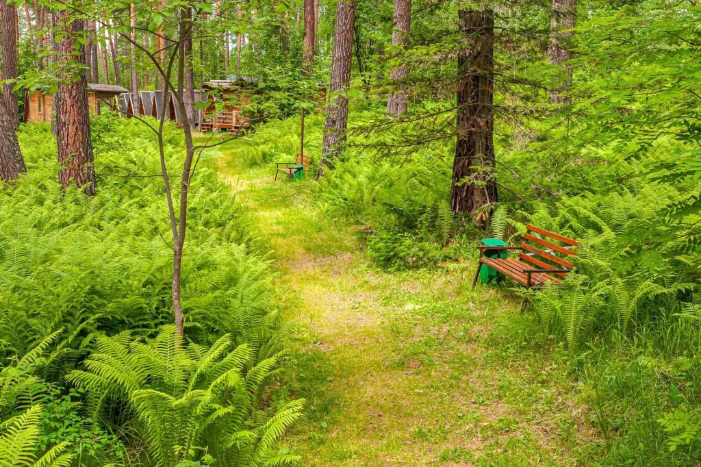 База отдыха Рафт-Премьер - фото 4
