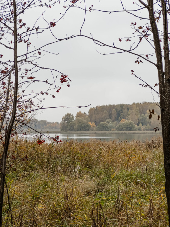 Кемпинг Берег Желаний - фото 25