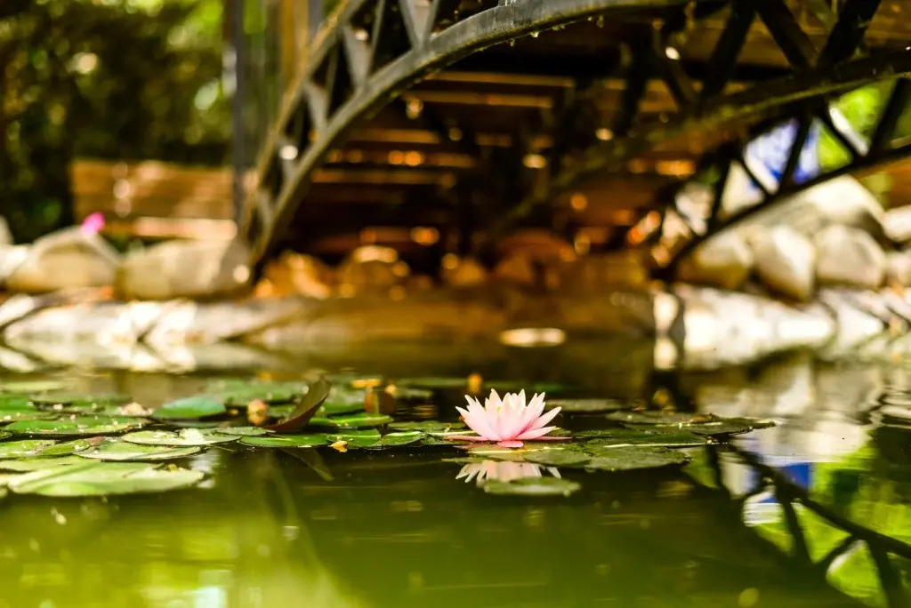 Гостевой дом Нева - фото 8