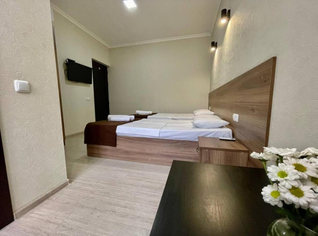 Standard Double room (twin beds)