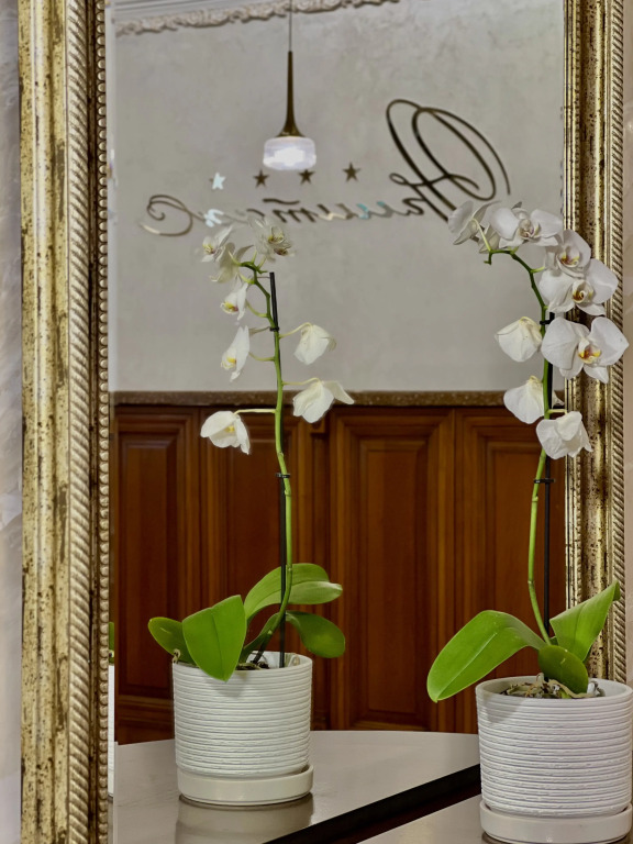 Отель Эрмитаж - фото 5