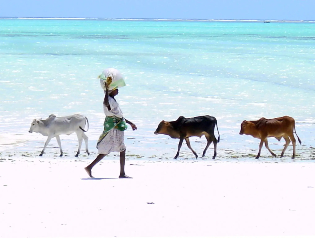 Вилла Bahati Zanzibar — фото