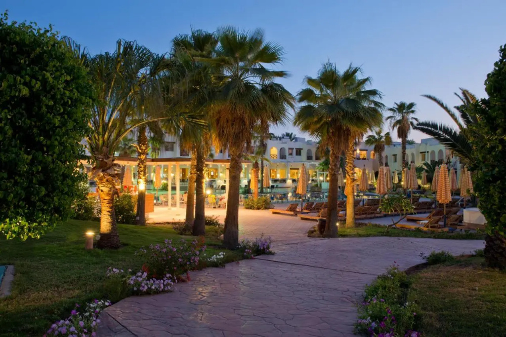Amphoras Aqua Hotel, Хадаба, Єгипет мініатюра 26