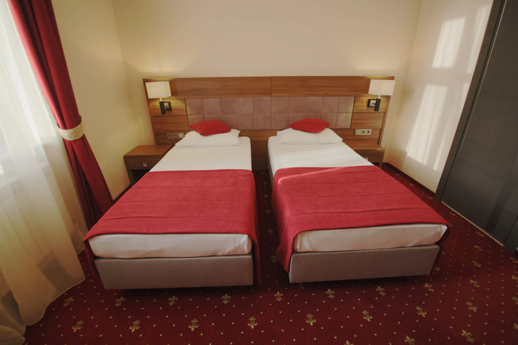 Standard Double room (twin beds)