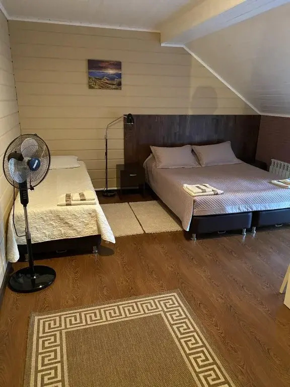 Гостевой дом Алтайский дом туризма - фото 14