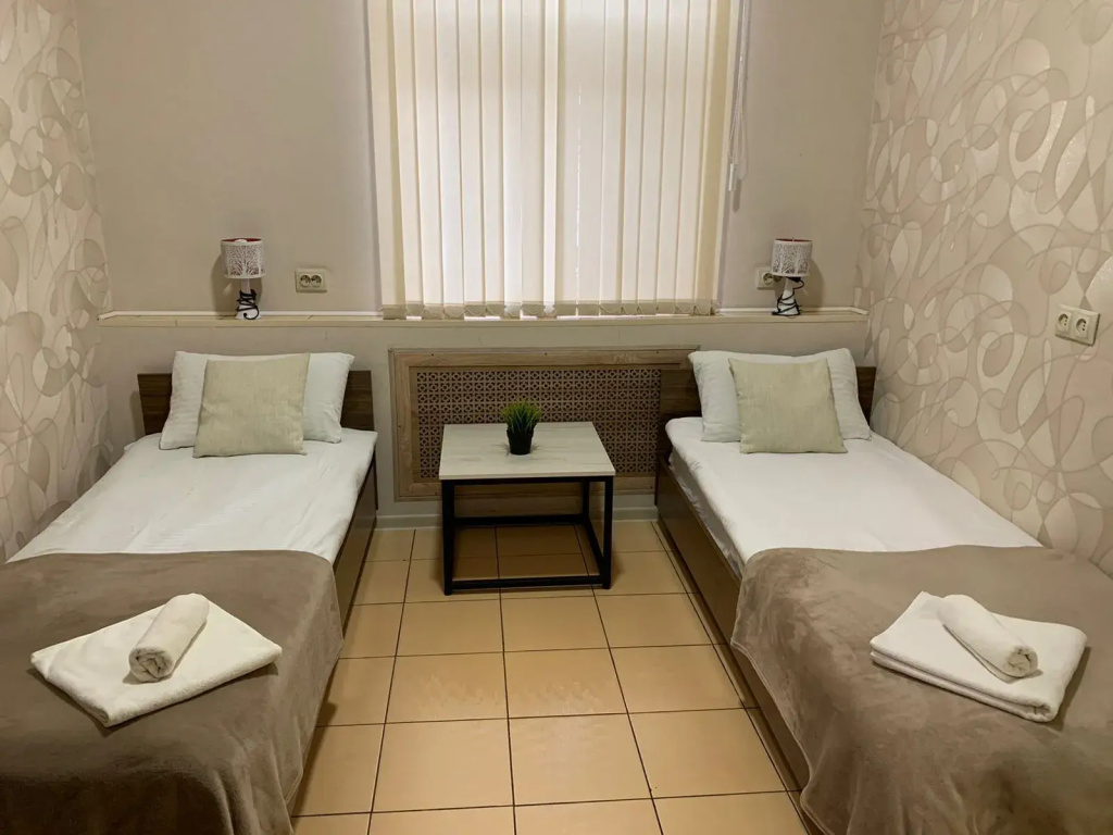 Standard Double room with city view (twin beds)
