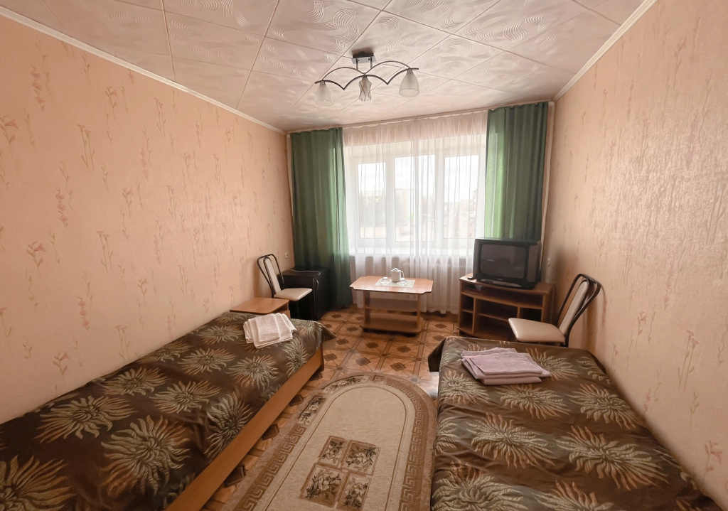 Standard Double room with city view (twin beds)