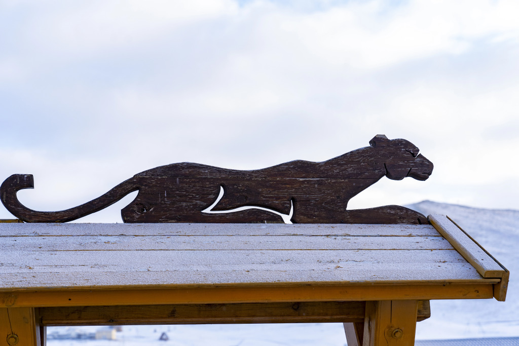 Гостевой дом Панорама - фото 21