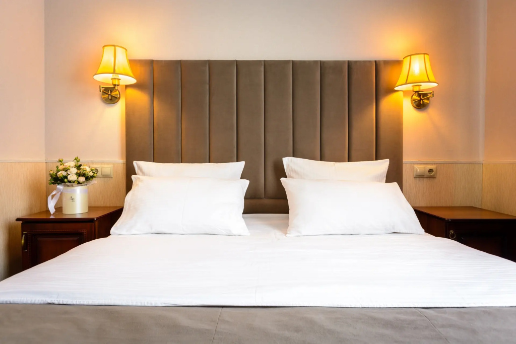Standard Business Double room (full double bed)