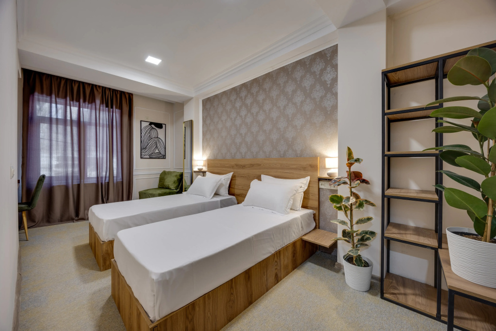 Standard Double room (twin beds)