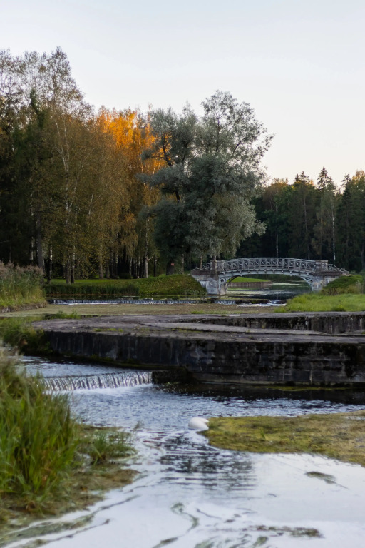 Golden Hotel - фото 12