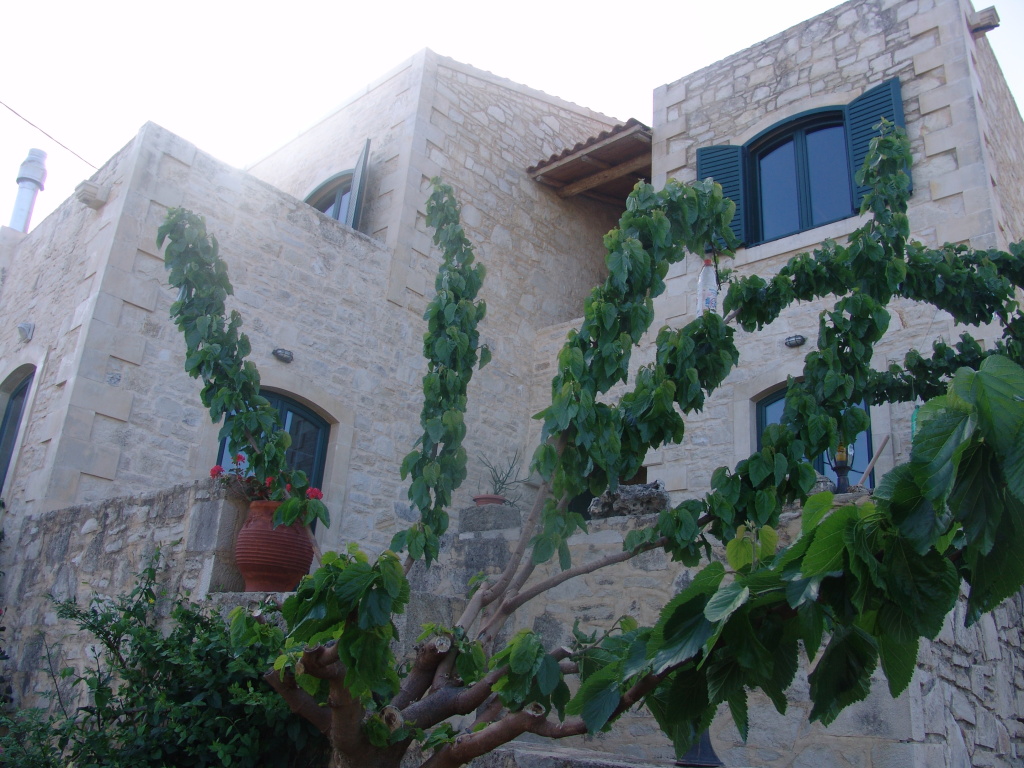 Aloni Villa — 5