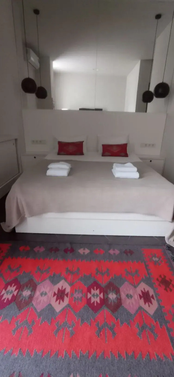 Standard with French Balcony Double room (full double bed)