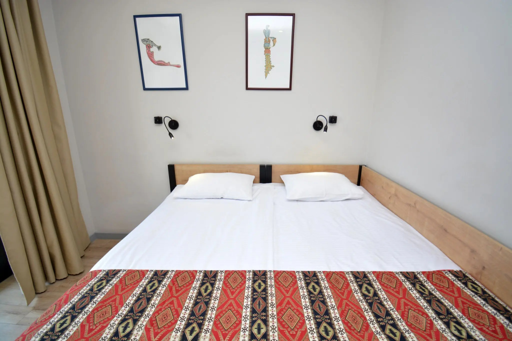 Standard Double room (full double bed)