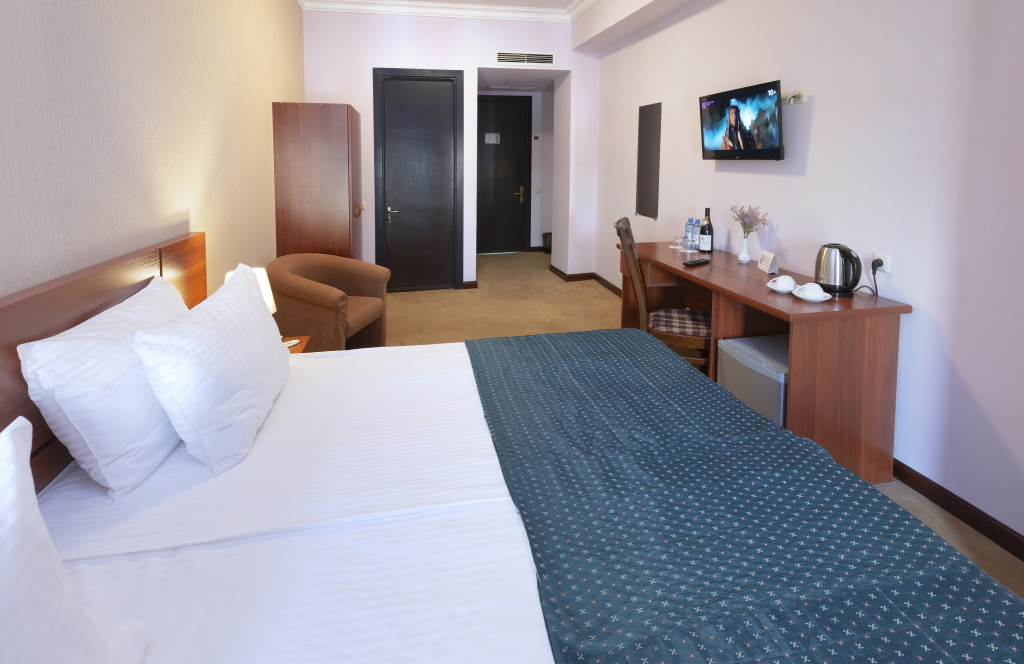 Ani Central Inn Hotel - Chambres