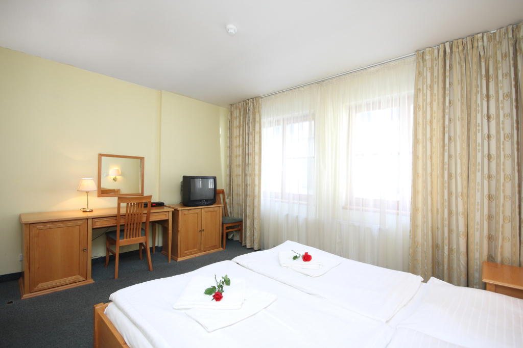 Standard Double room (full double bed)