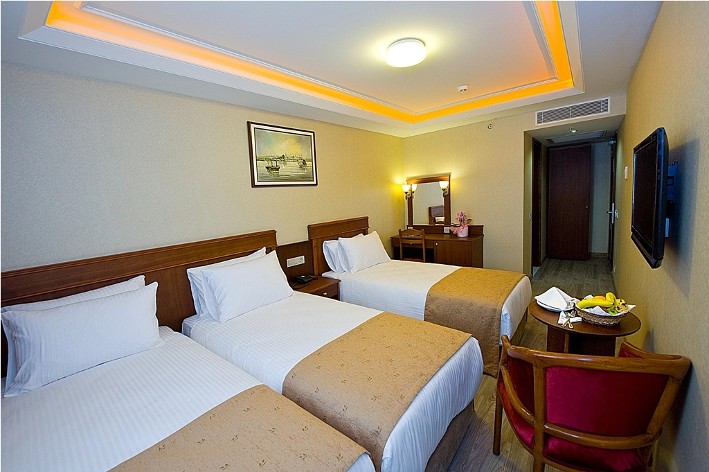 Standard Triple room