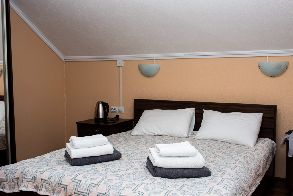 Standard Double Attic room with mountain view (full double bed)