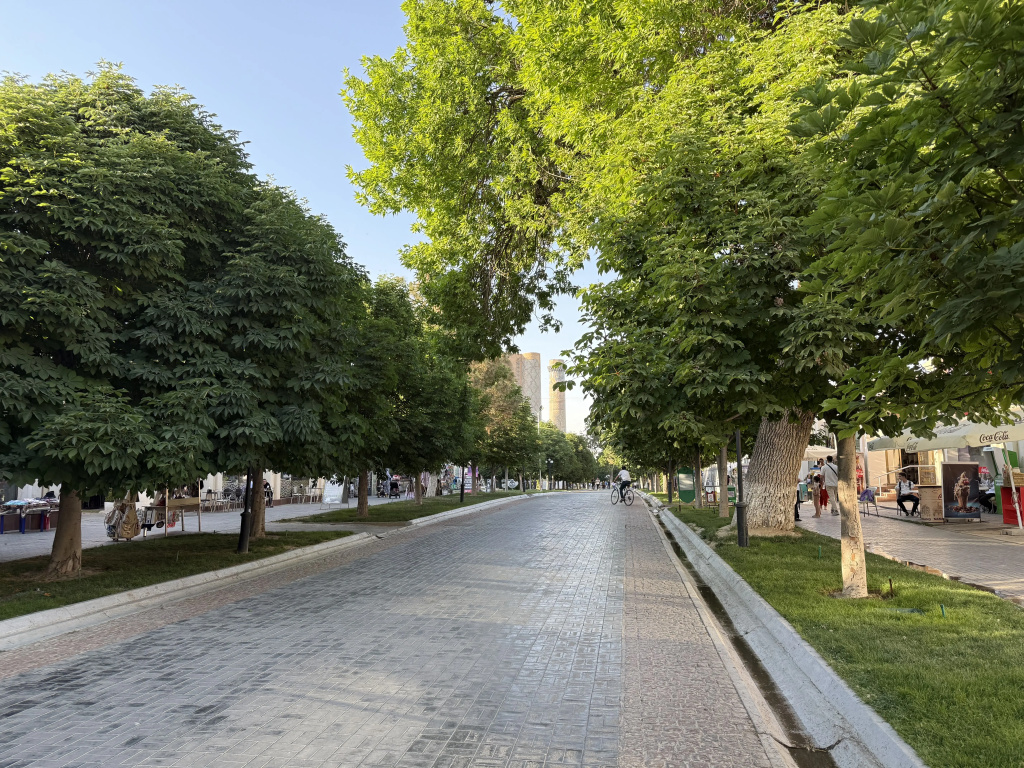 Zamon Hotel