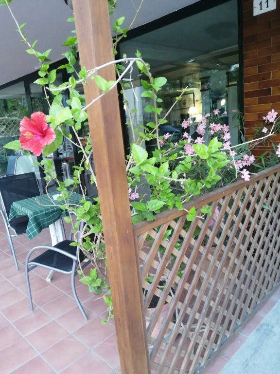 Hotel photo 8