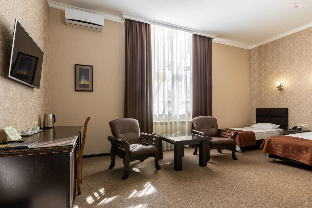 Gold Star Hotel Room Type - Business Double room twin beds