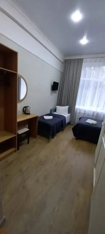Standard Double room (twin beds)