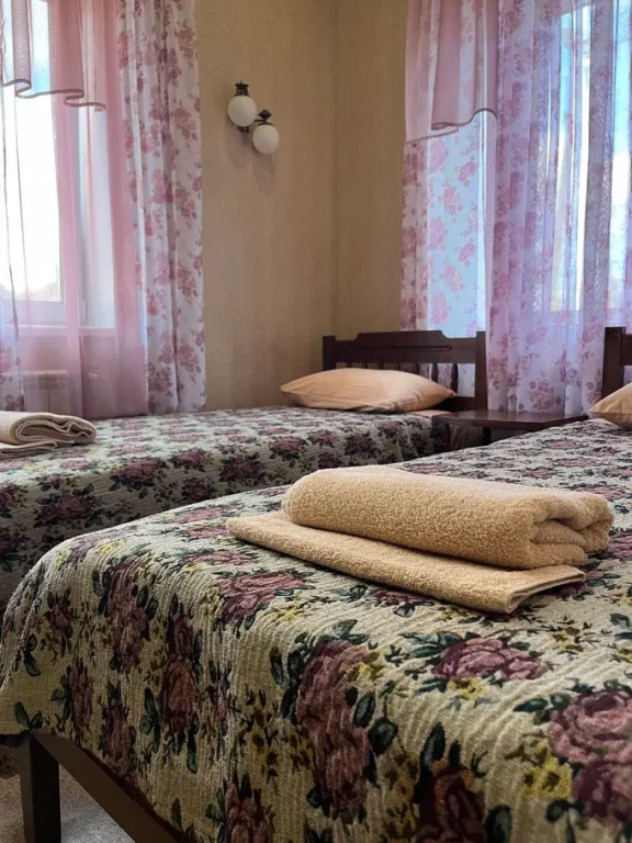 Economy Double room (twin beds)