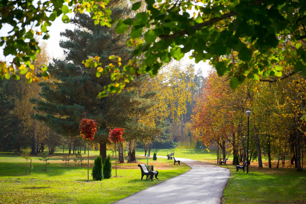 Пансионат Поляны - фото 6