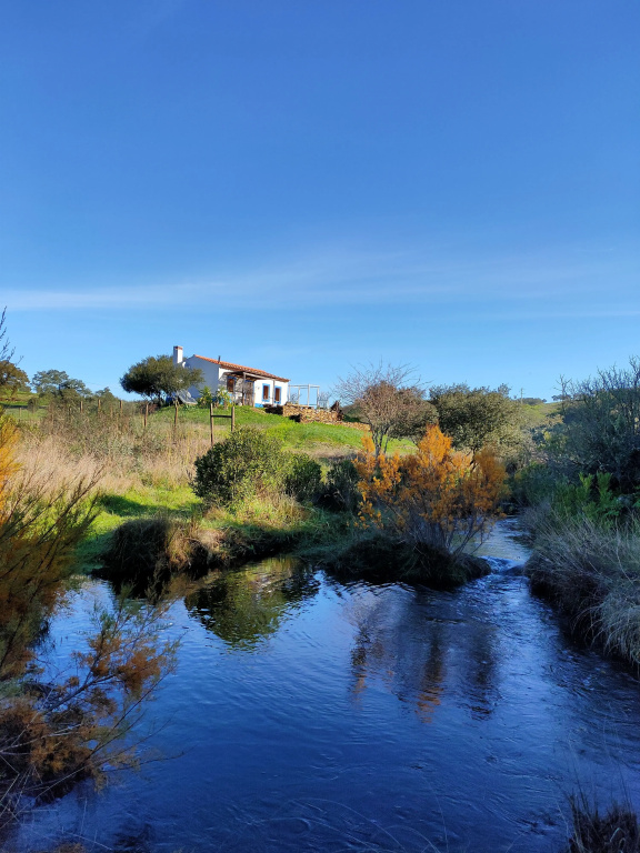 Castro Da Cola Country Houses Casa Da Ribeira Private House