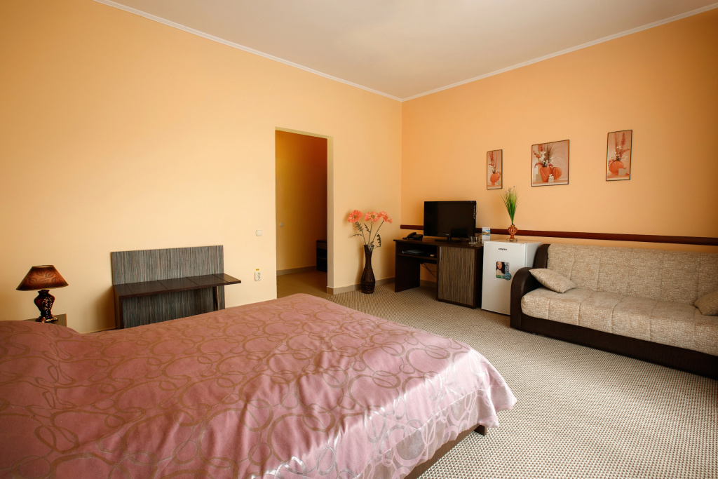 Superior with Sofa Double room (full double bed)