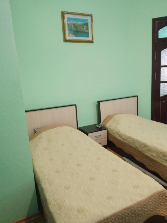 Standard Double room with balcony and with view (twin beds)