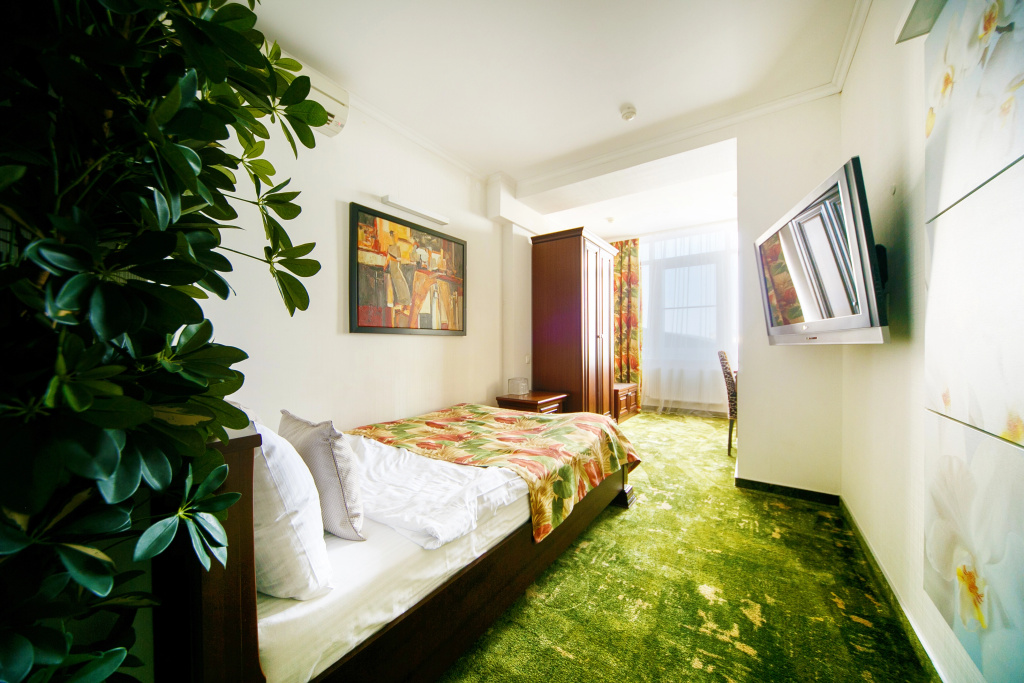 Petrovskij Passazh Hotel Room Type - Comfort Double room full double bed