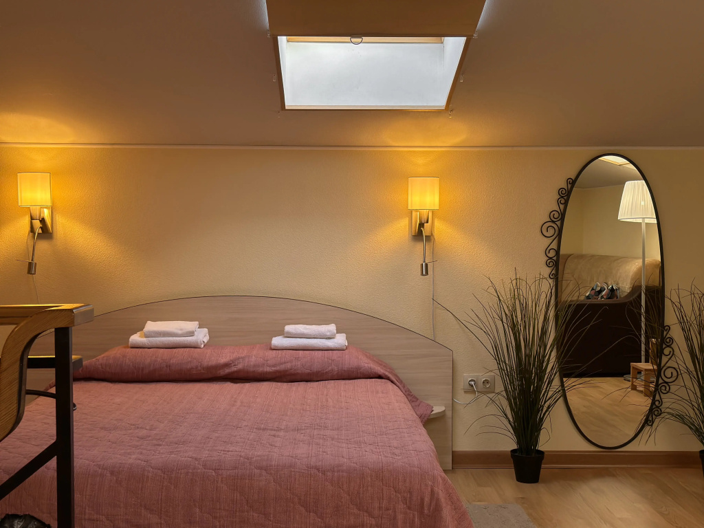 Deluxe Double Attic room (full double bed)