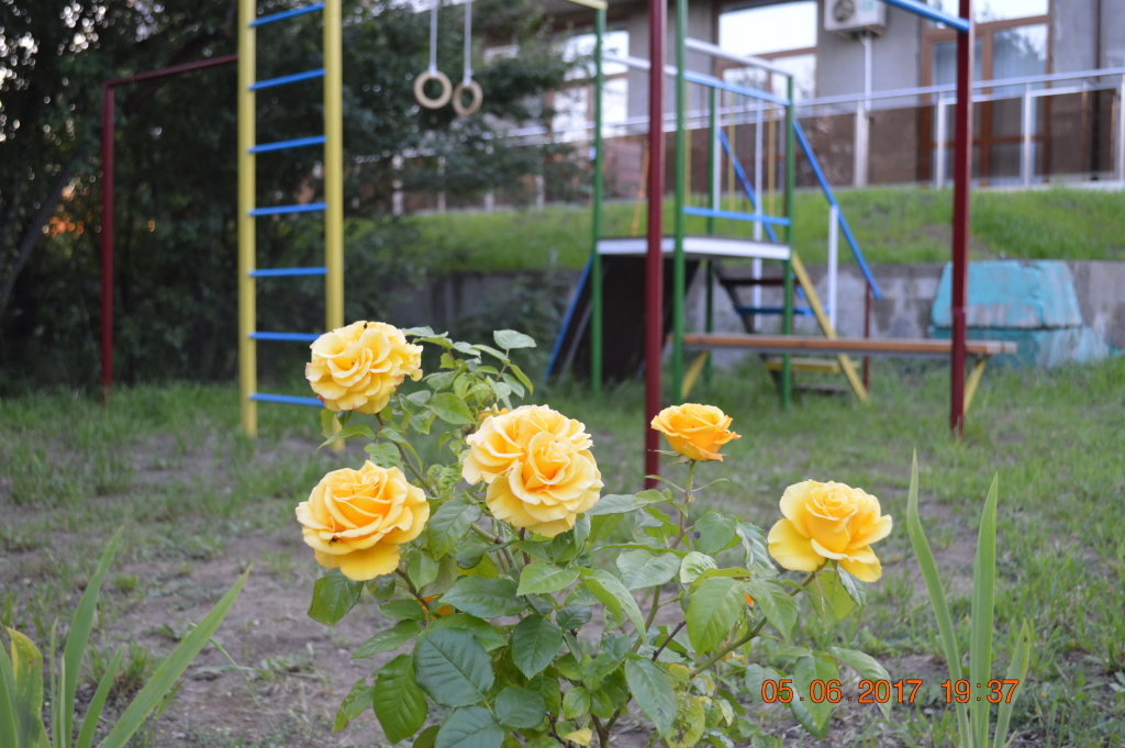 Family & Kids