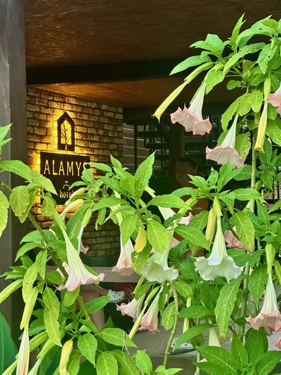 Hotel photo 25