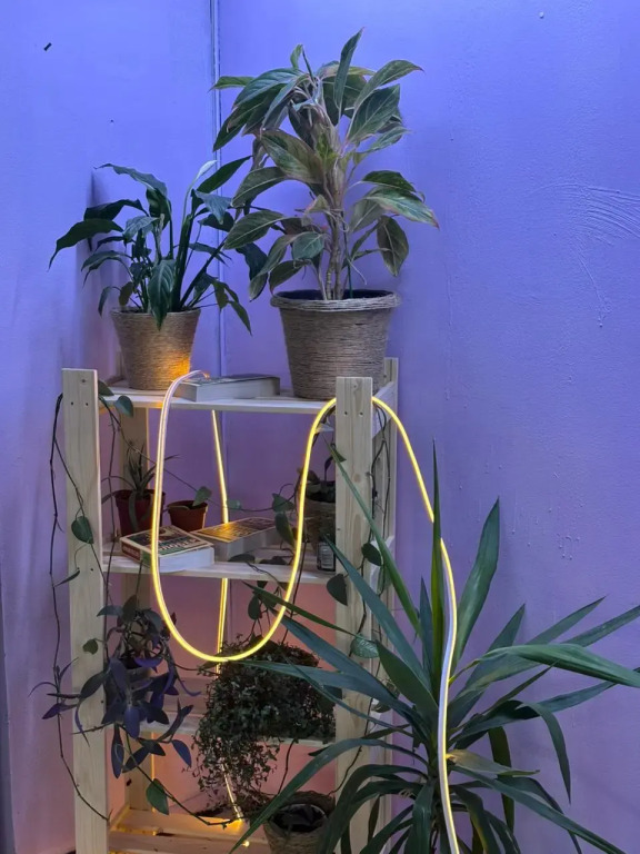 Хостел cryptohostel — фото 3