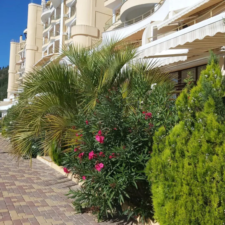 Апартаменты Премьера Крым Малый Маяк - фото 3