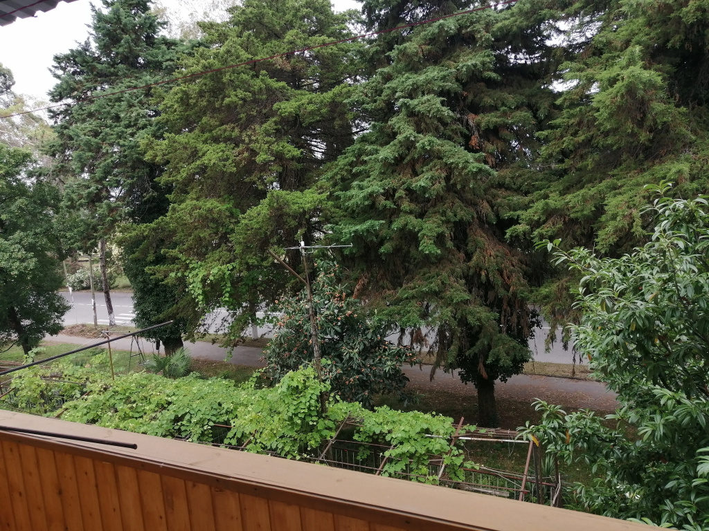 Uyutnaya Kvartira u Morya Flat