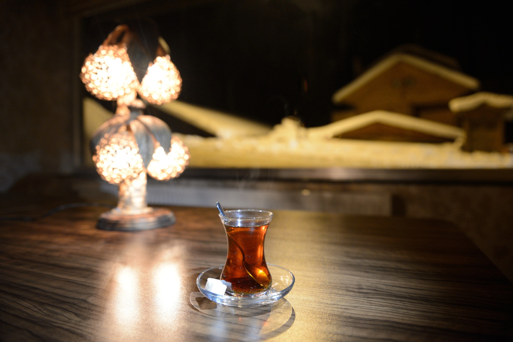 Hotel Ayder - фото 23