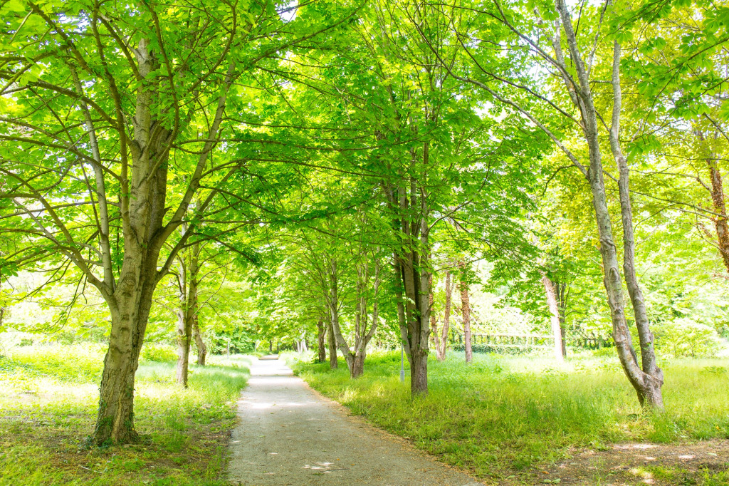 Санаторий Архипо-Осиповка ФМБА России - фото 2