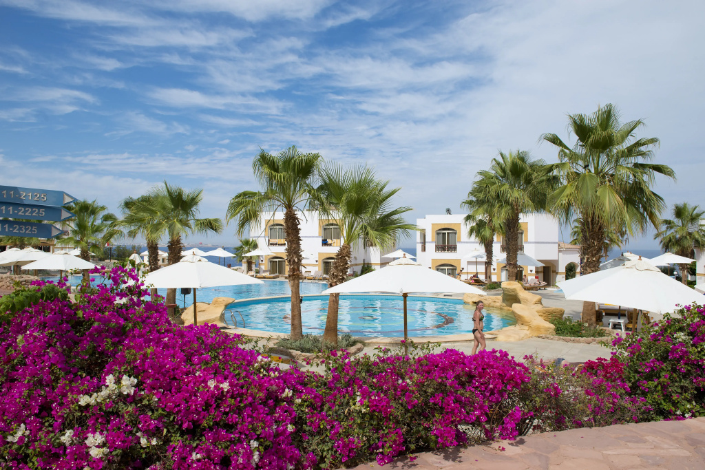 Amphoras Blu Ultra All Inclusive - Adults Only — фото